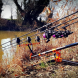 SALAMANDER Salamander Fish 3.0 Rod Pod  4-5 Rods  Black/Orange Joints