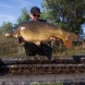 Carpmaster Inflatable