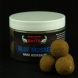 NORTHERN BAITS Blue Mussel Hard hookbaits 16mm