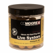 CC MOORE Live System Air Pop Ups 15mm