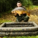 Carpmaster Inflatable