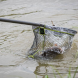 Matrix Carp Landing Nets